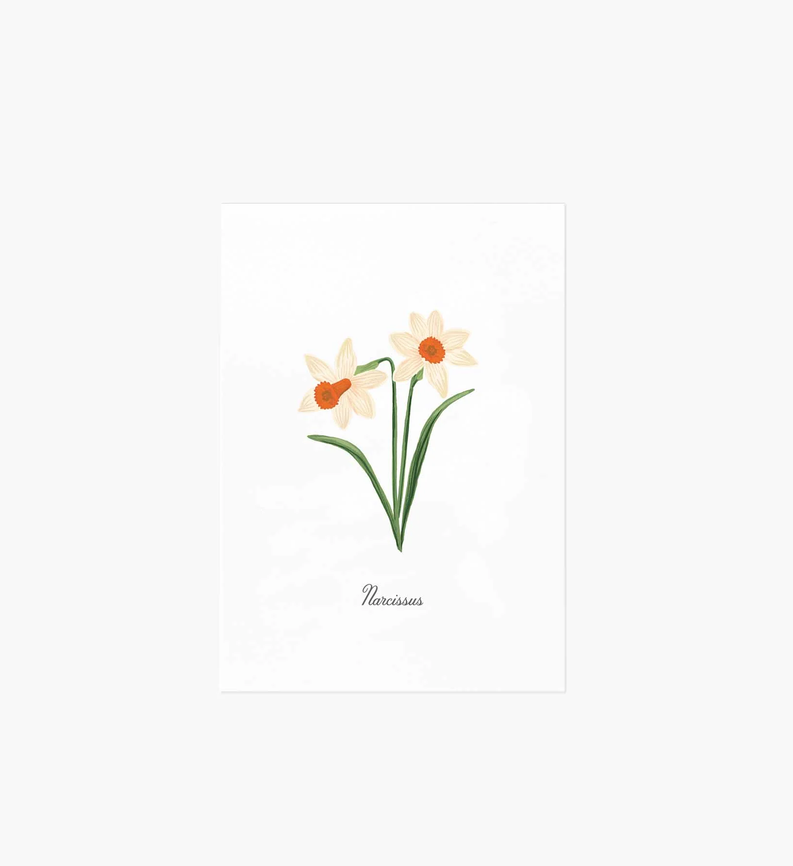 Birth Month Art Print - December