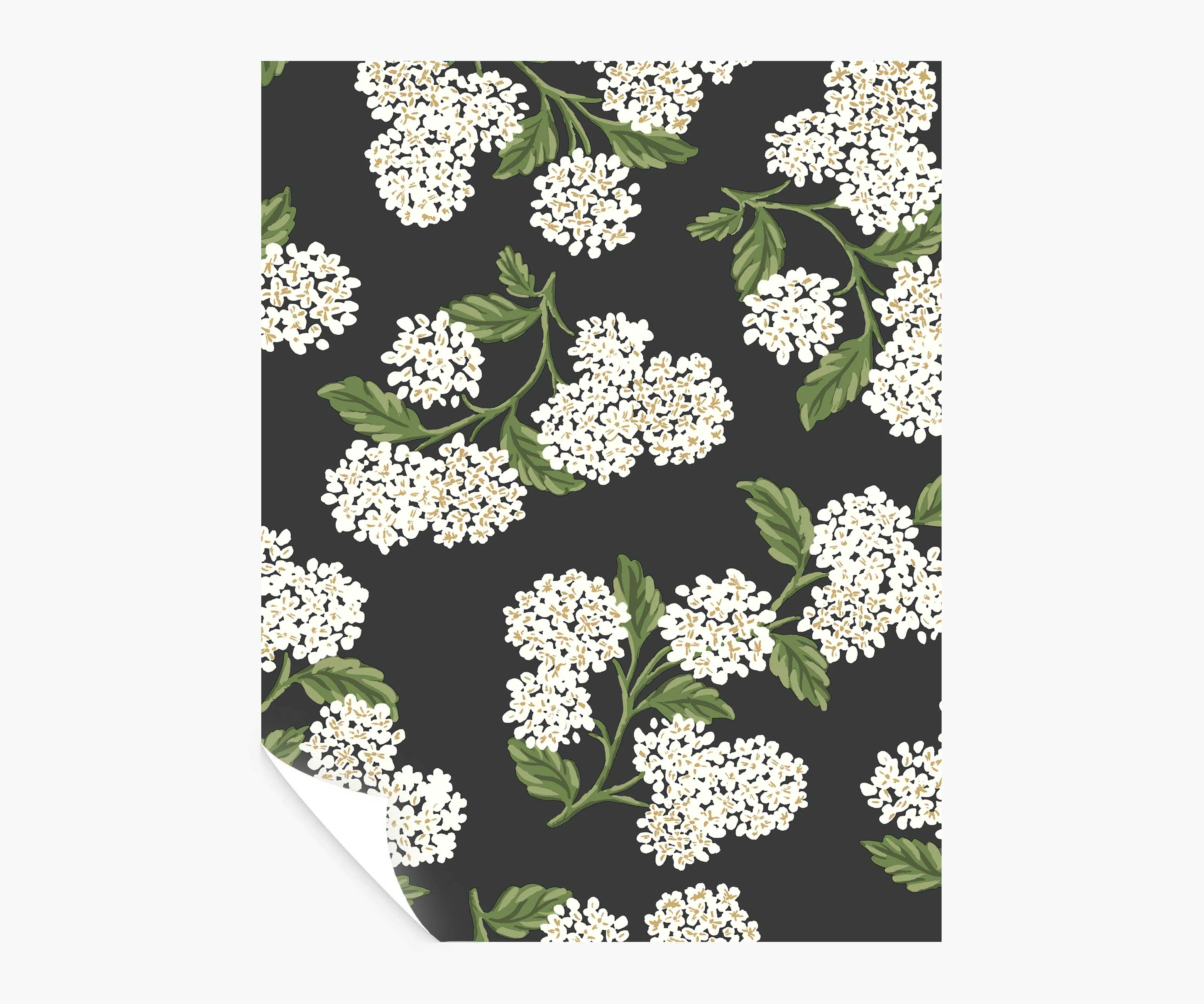 Hydrangea Peel & Stick Wallpaper Sample - Black & White