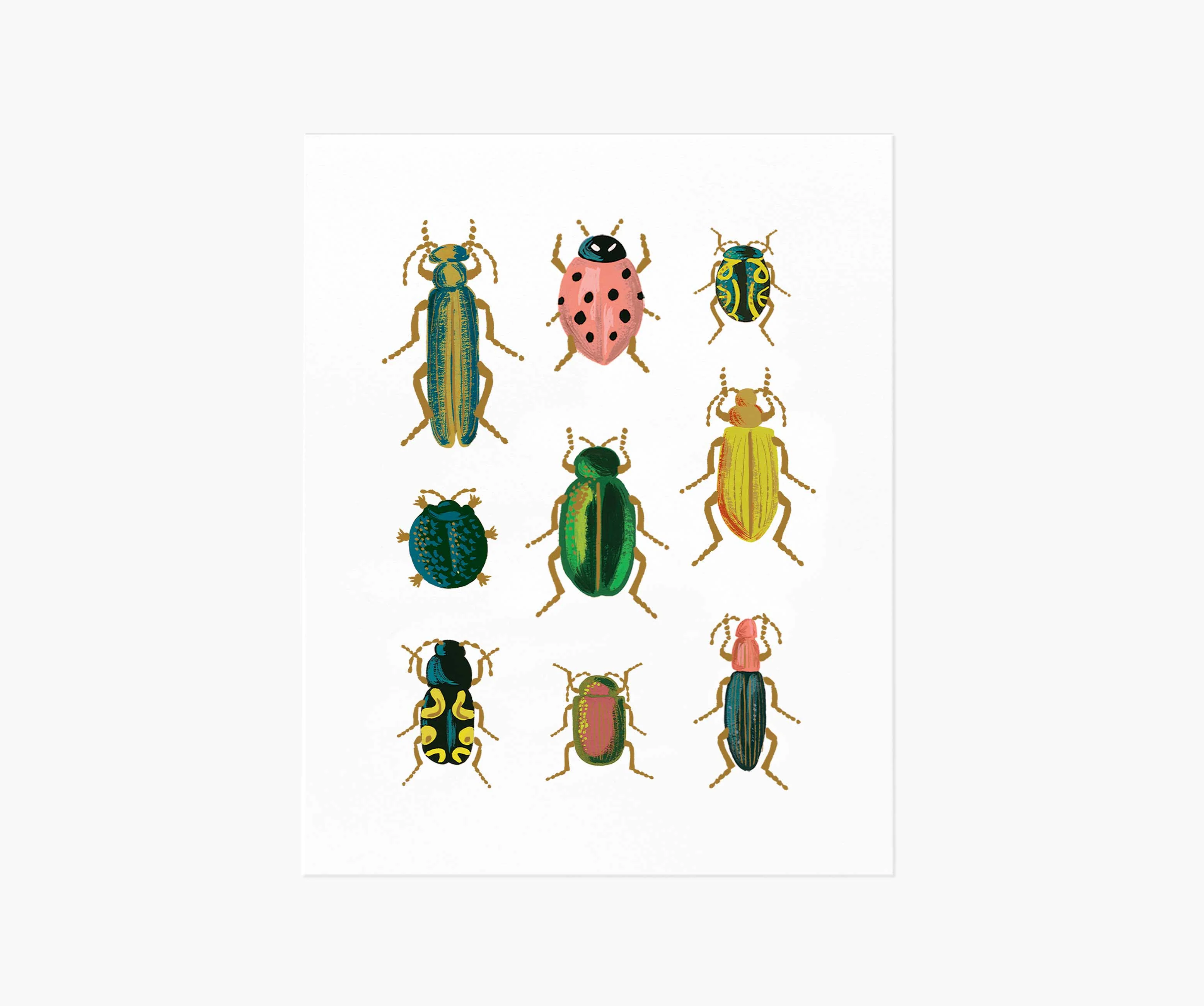 Curio Art Print