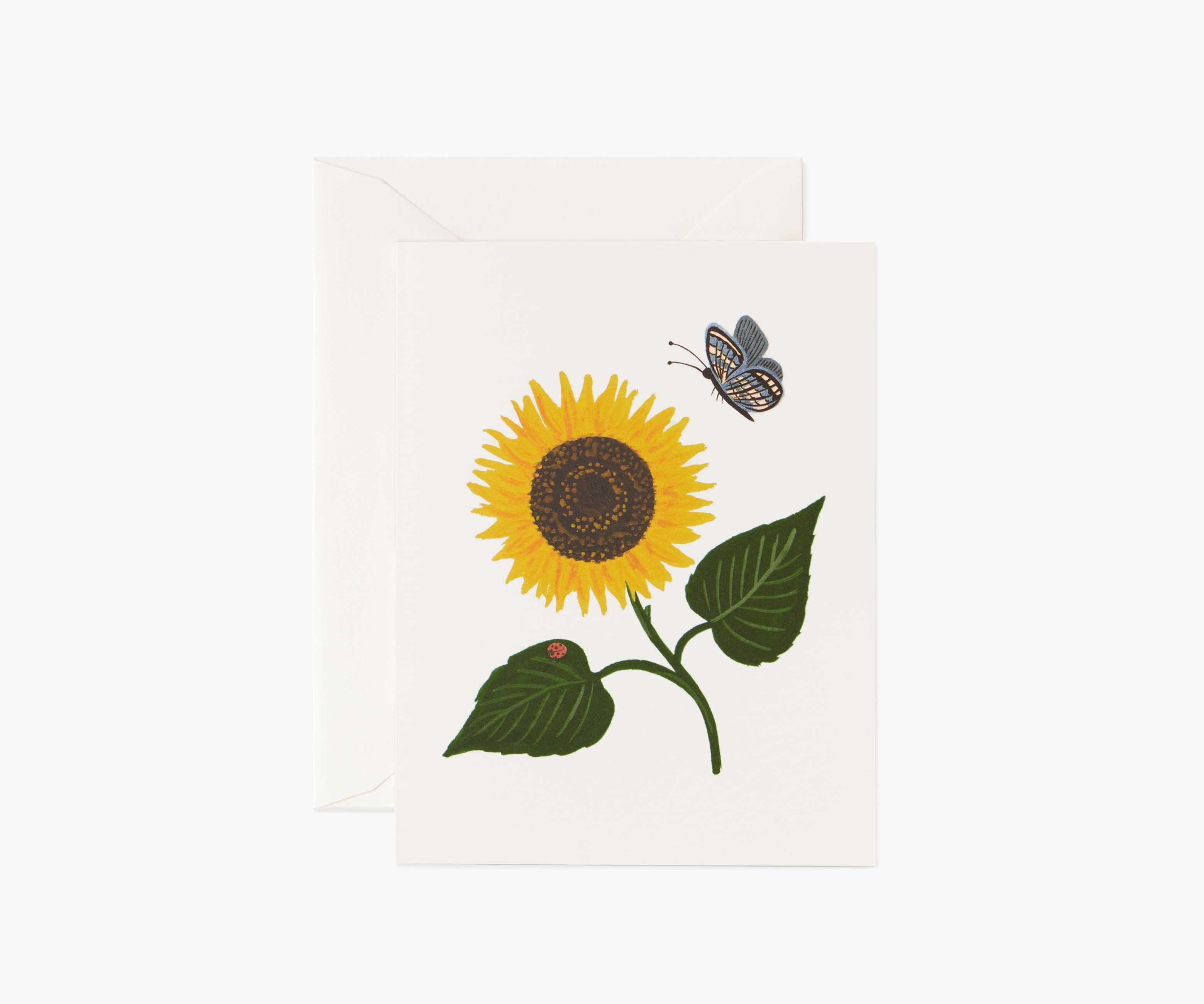 Sunflower Everyday Card - Single Card
