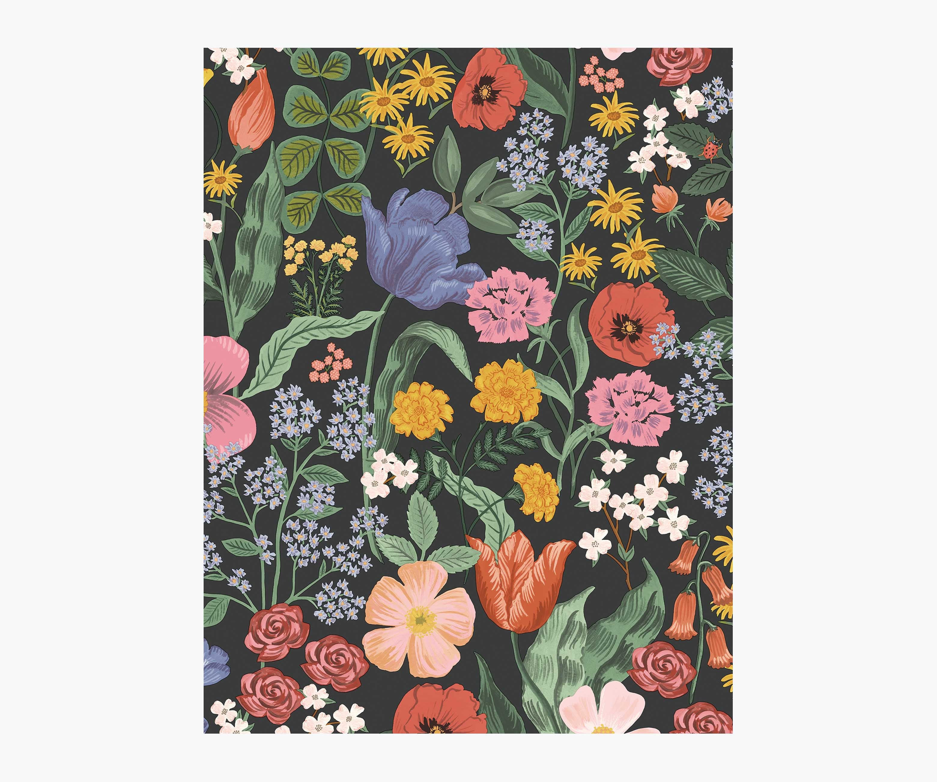 Blossom Wallpaper Sample - Black