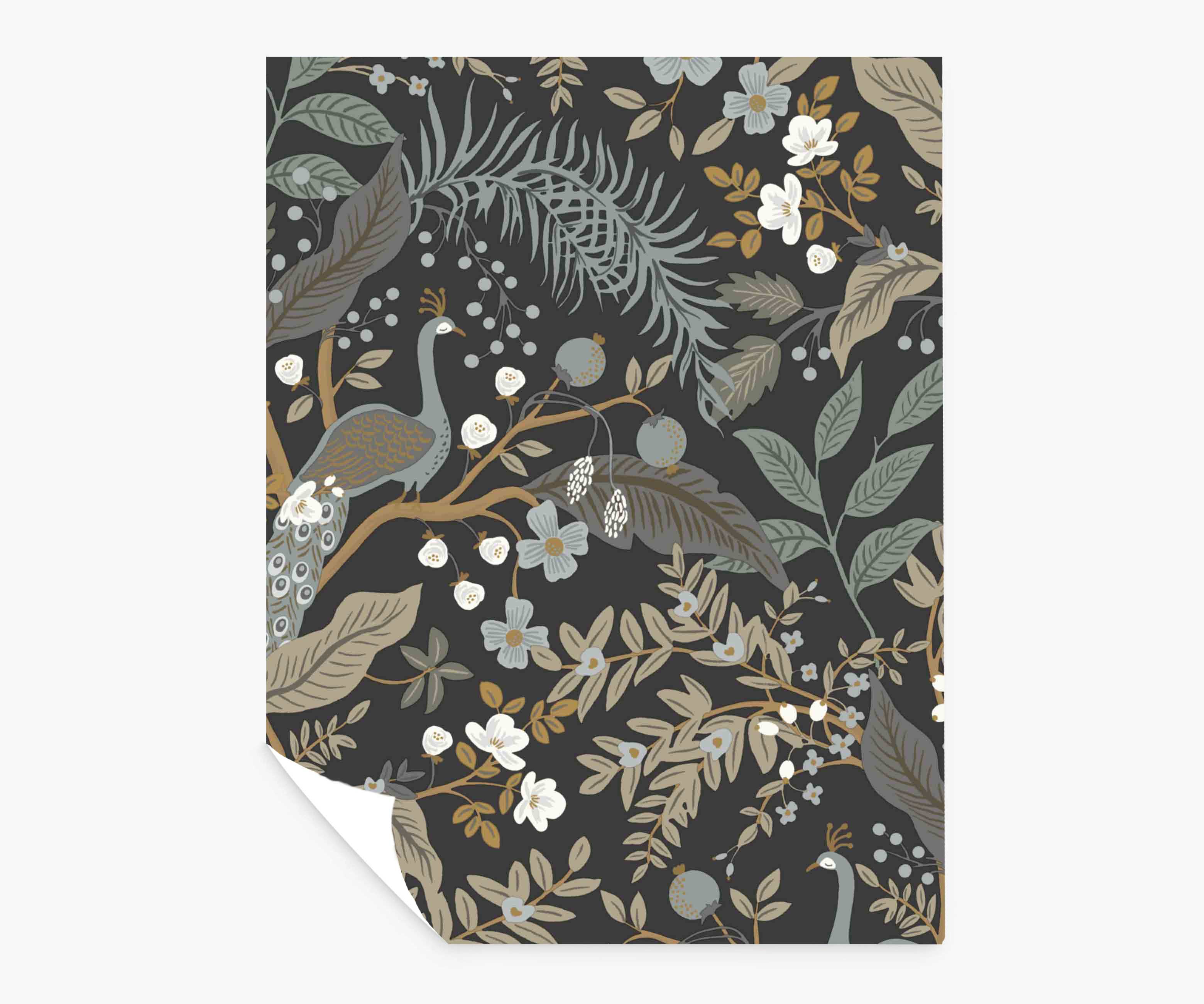Peacock Garden Peel & Stick Wallpaper Sample - Black