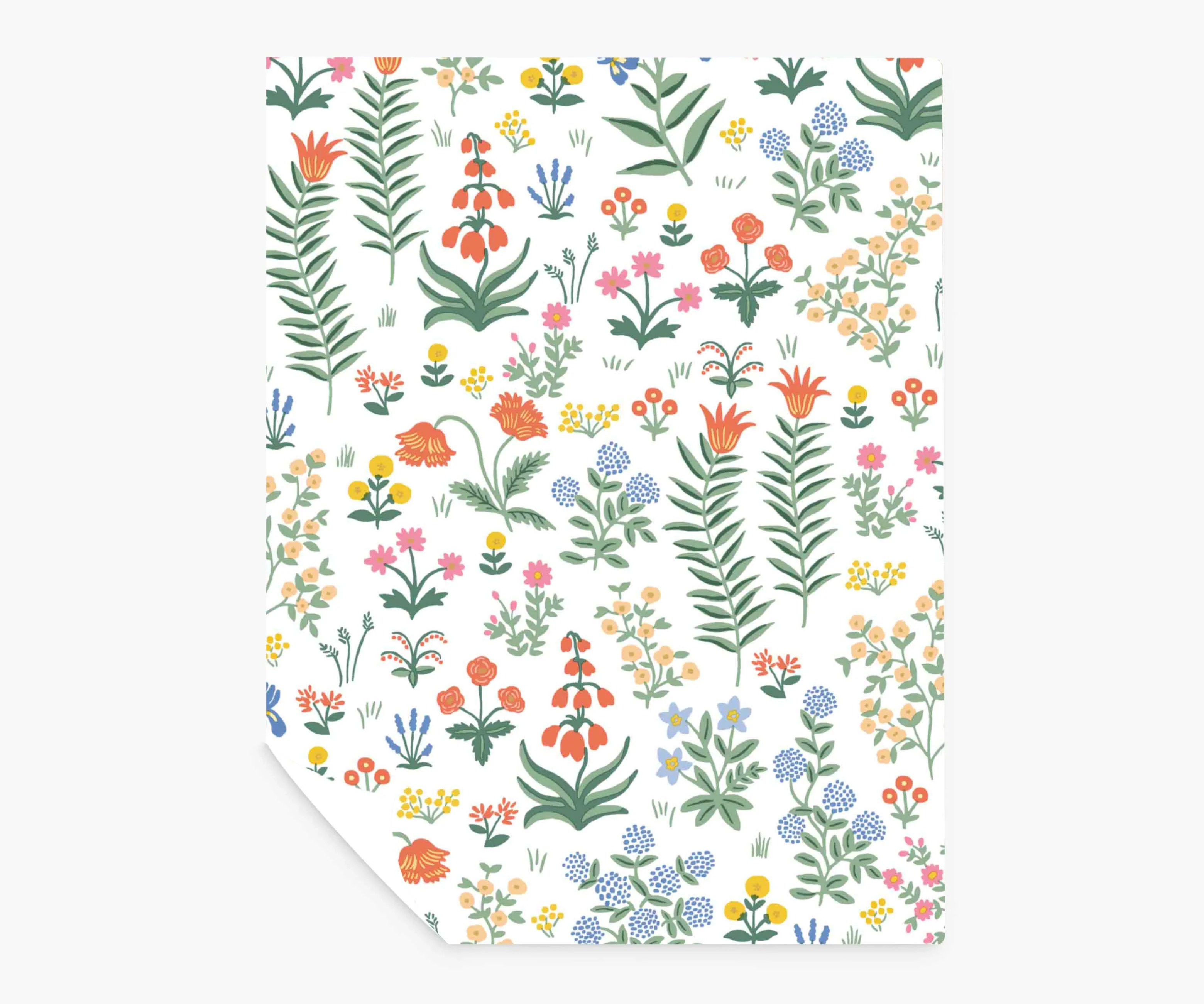 Menagerie Garden Peel & Stick Wallpaper Sample - Rose Multi