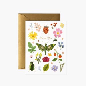 Curio Thank You Card - Single Card