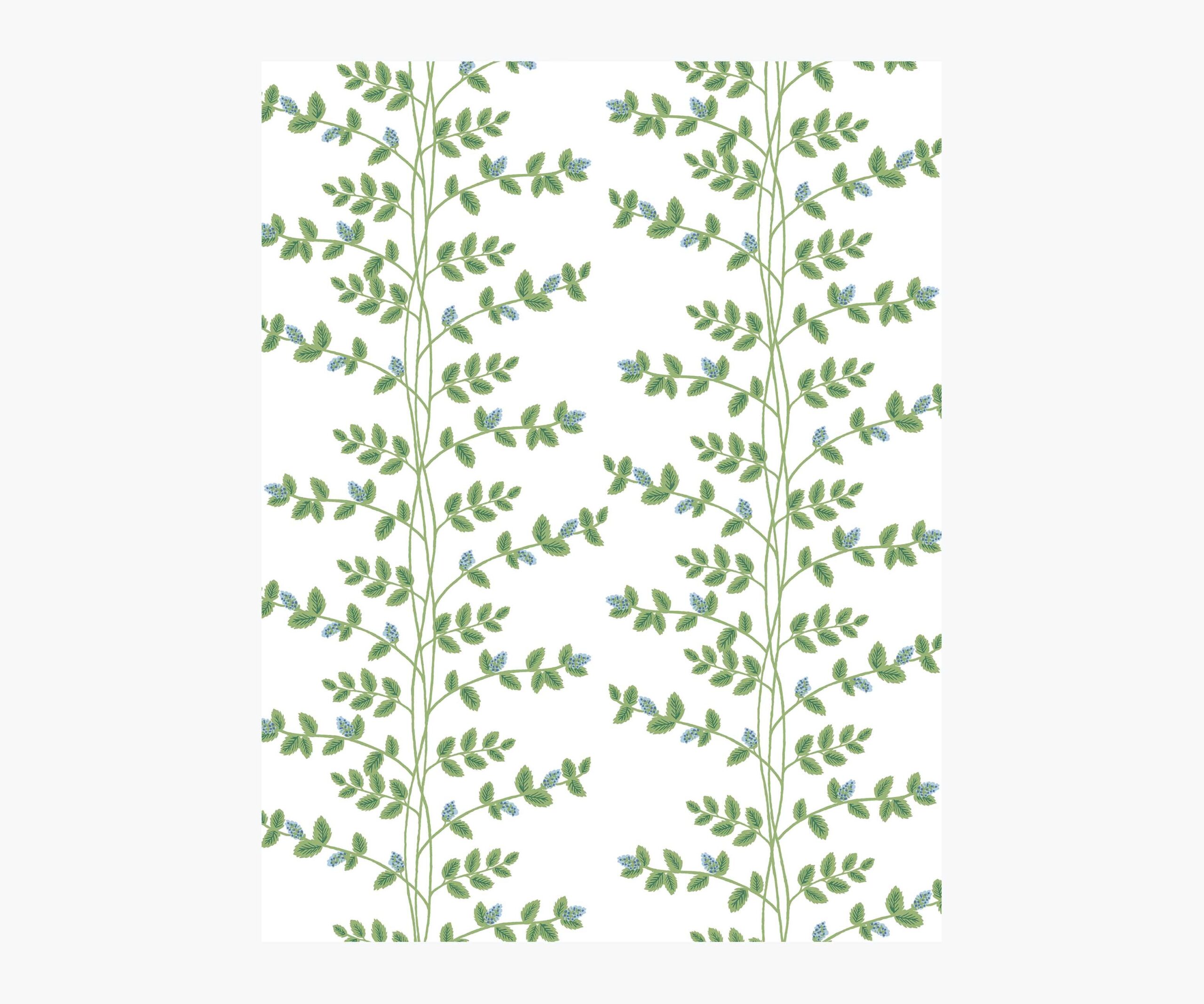 Climbing Vines Wallpaper Sample - White & Blue